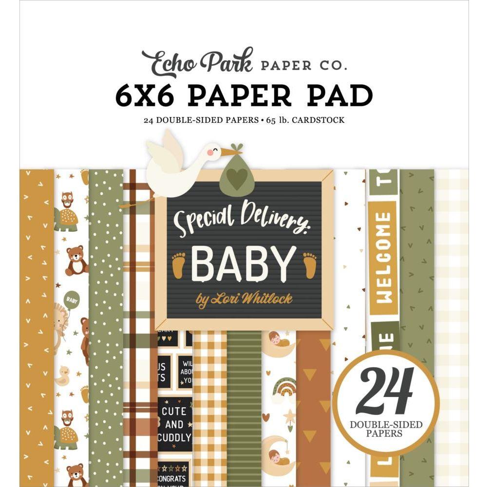 Echo Park Special Delivery Baby 6 x 6 Paper Pad sdy355023