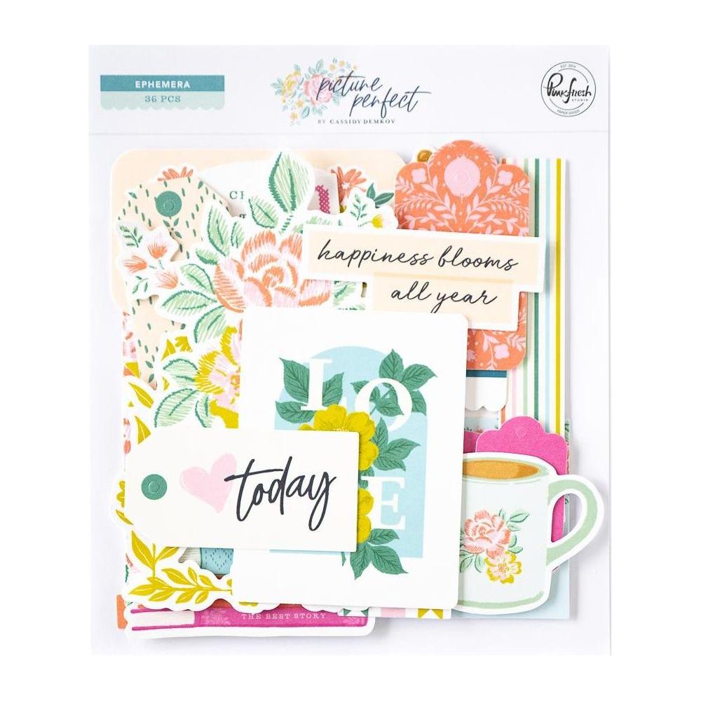 Pinkfresh Studio Picture Perfect Ephemera Pack 232424 Detailed Product Image