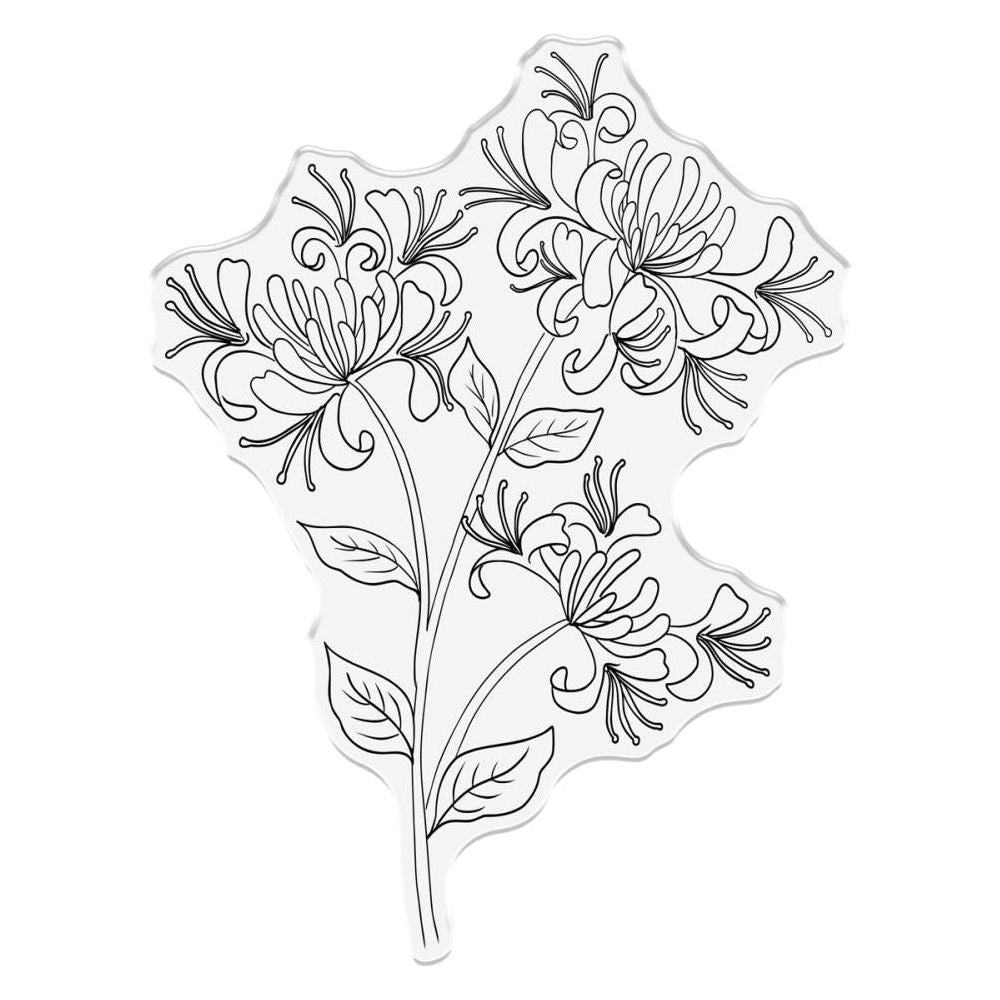 Crafter's Companion Honeysuckle Flower Clear Stamp ng-hs-ca-st-hofl Secondary Image