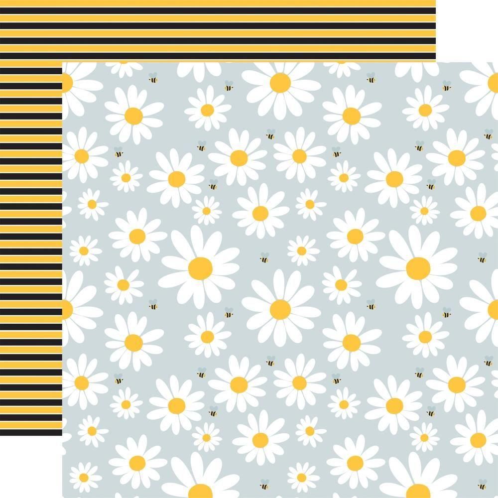 Echo Park Happy As Can Be 12 x 12 Collection Kit hcb376016 Lovely Bee Daisies