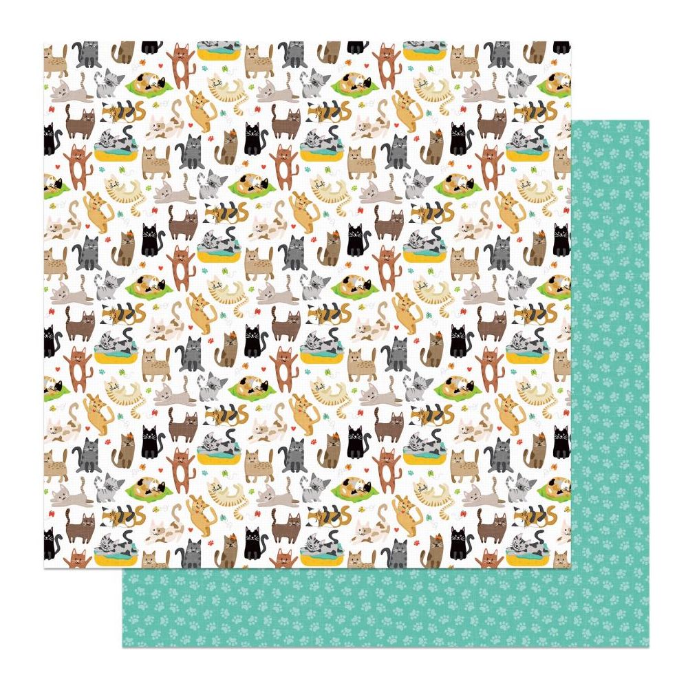 PhotoPlay Cat Nip 12 x 12 Collection Kit cnp4632 Cats Have Staff