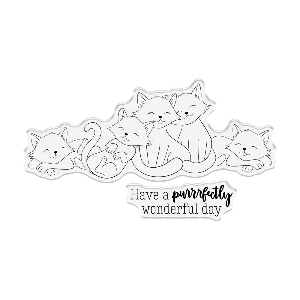 Crafter's Companion Cats Stamp And Die Set cc-std-cat Have a Purrfectly Wonderful Day