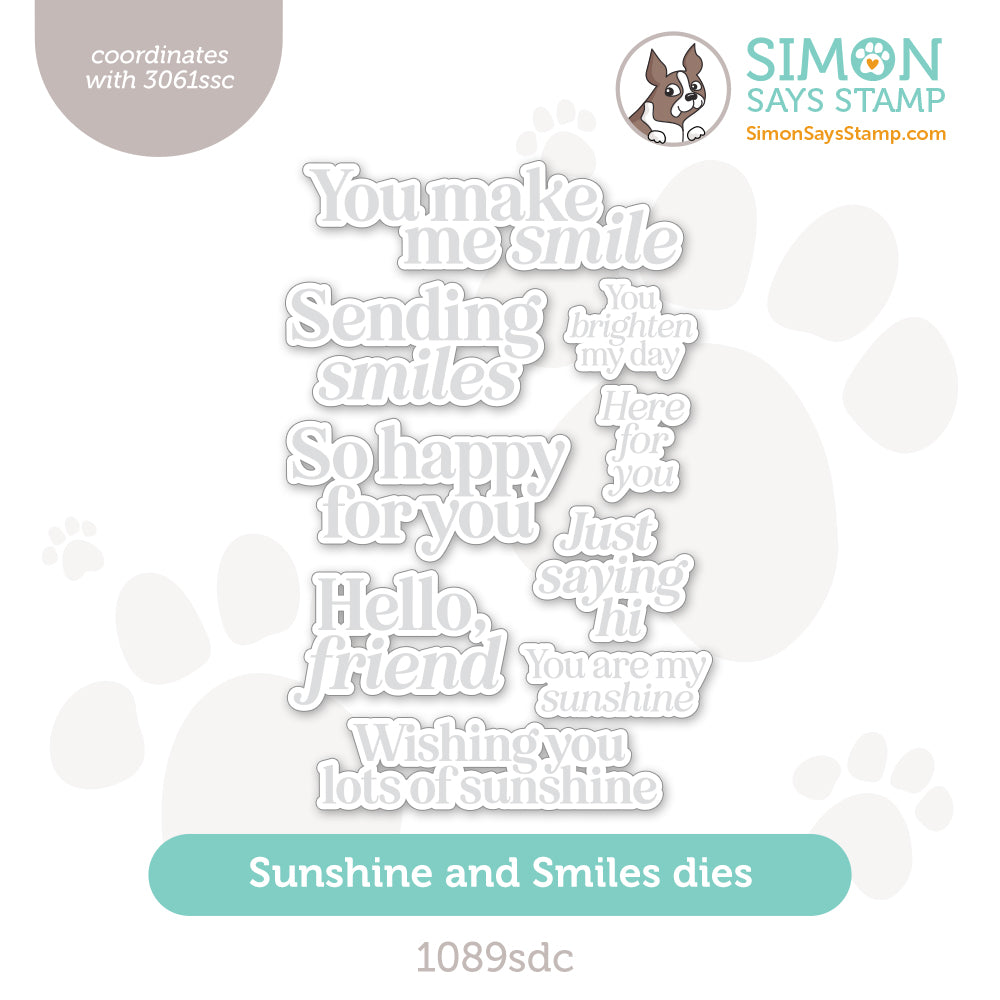 Simon Says Stamp Sunshine and Smiles Wafer Dies 1089sdc Sunny Vibes