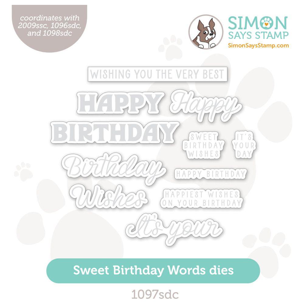 Simon Says Stamp Sweet Birthday Words Wafer Dies 1097sdc