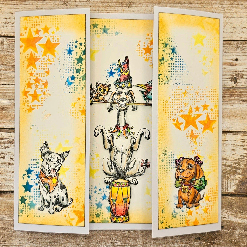 AALL & Create Walkies! A6 Clear Stamps 1120 stars