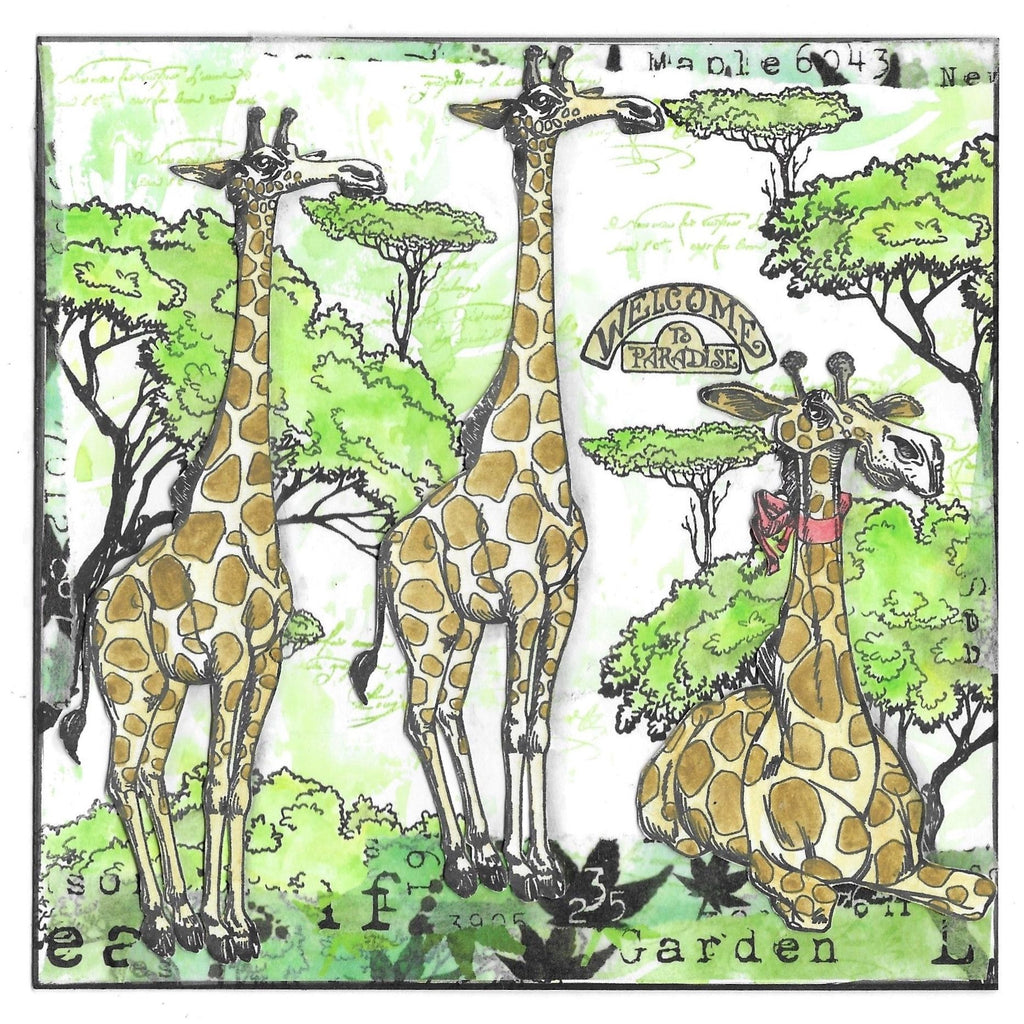 AALL & Create Giraffe's Paradise A7 Clear Stamps 1128 garden