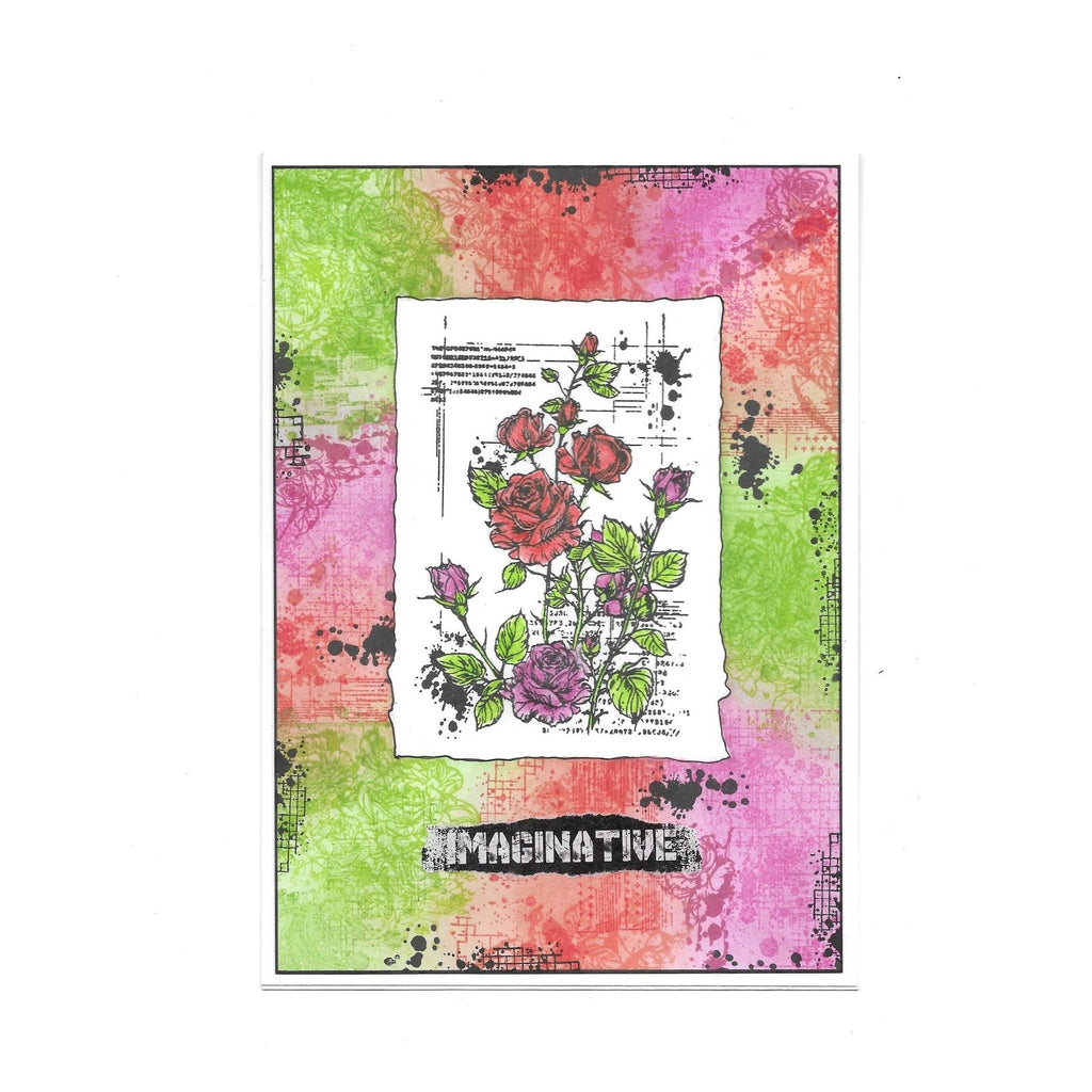 AALL & Create This Much Is True A7 Clear Stamp 1175 imaginative