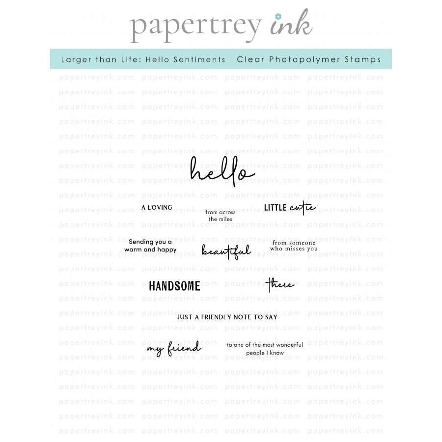 Papertrey Ink Larger than Life Hello Clear Stamps 1517