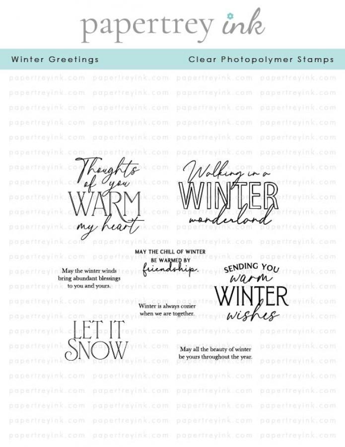 Papertrey Ink - Clear Photopolymer Stamps - Birthday Your Way