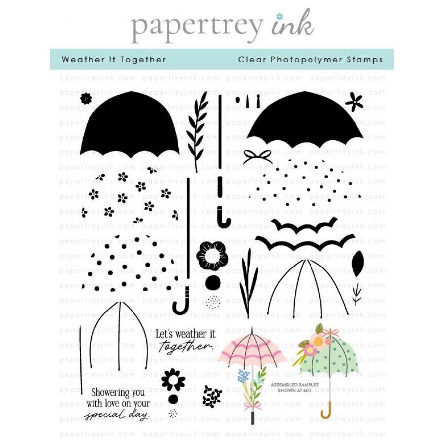 Papertrey Ink Weather it Together Clear Stamps 1563