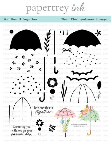 Papertrey Ink Weather it Together Clear Stamps 1563