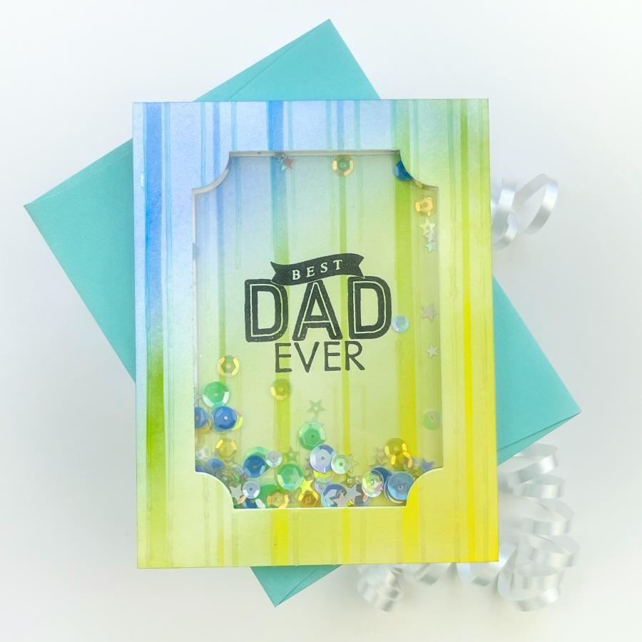 Papertrey Ink Father's Day Sentiments Clear Stamps 1577 shaker card