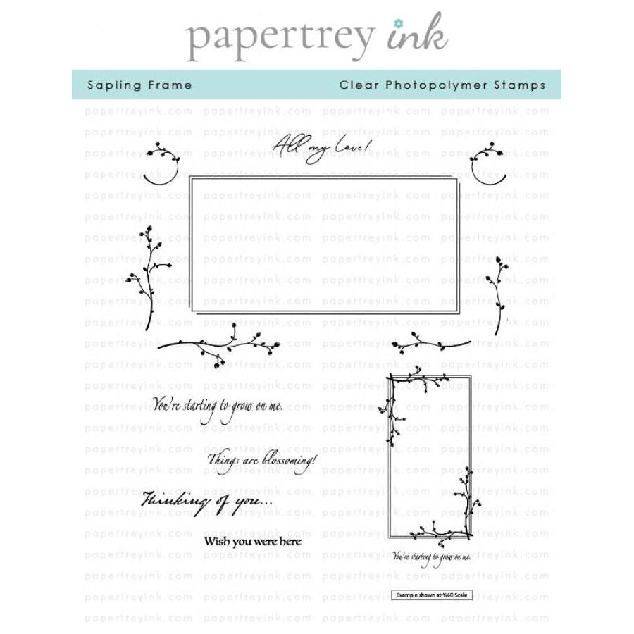 Papertrey Ink Sapling Frame Clear Stamps 1580