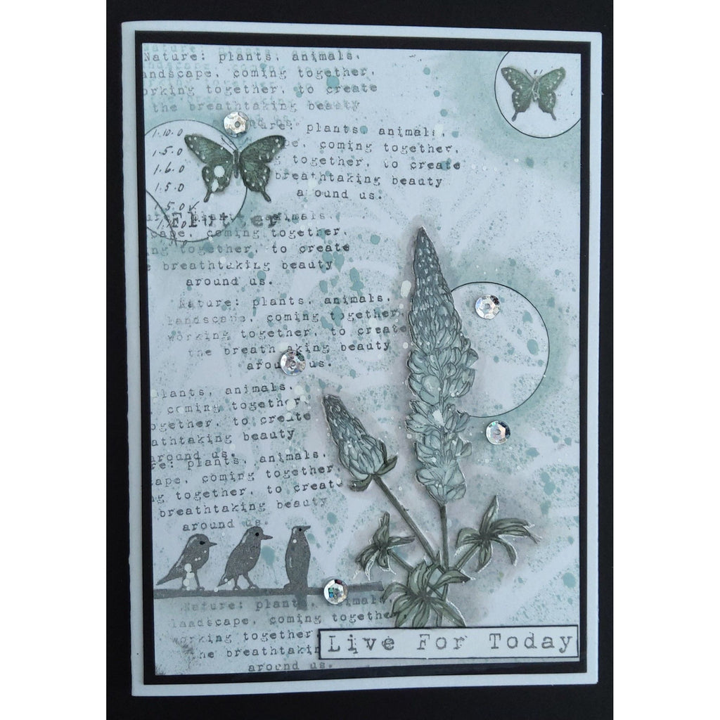 AALL & Create Butterfly Effect A6 Clear Stamps aall990 butterfly card