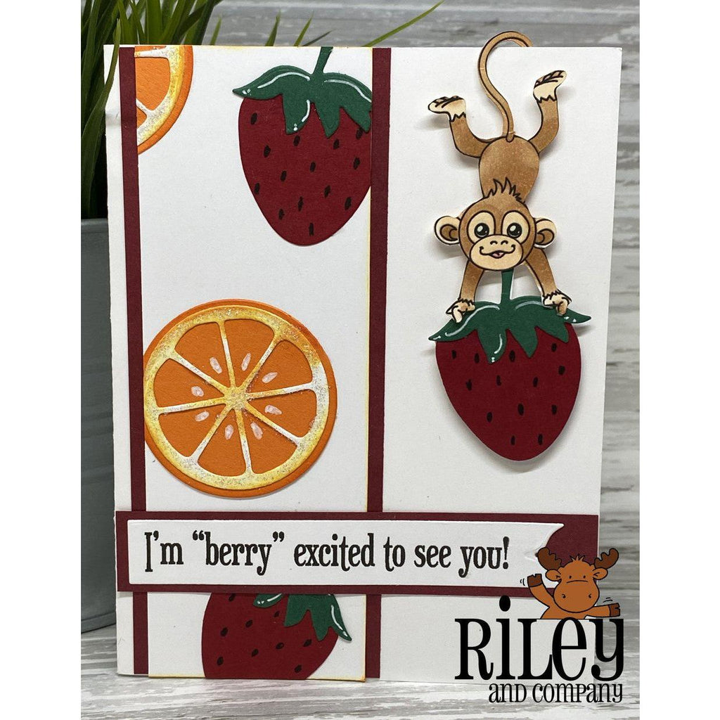 Riley And Company Cut Ups Fruit Pieces Dies rd607 silly monkey