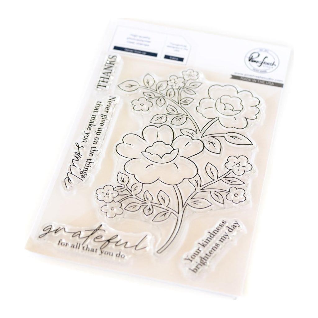 Pinkfresh Studio Never Give Up Clear Stamps 242124