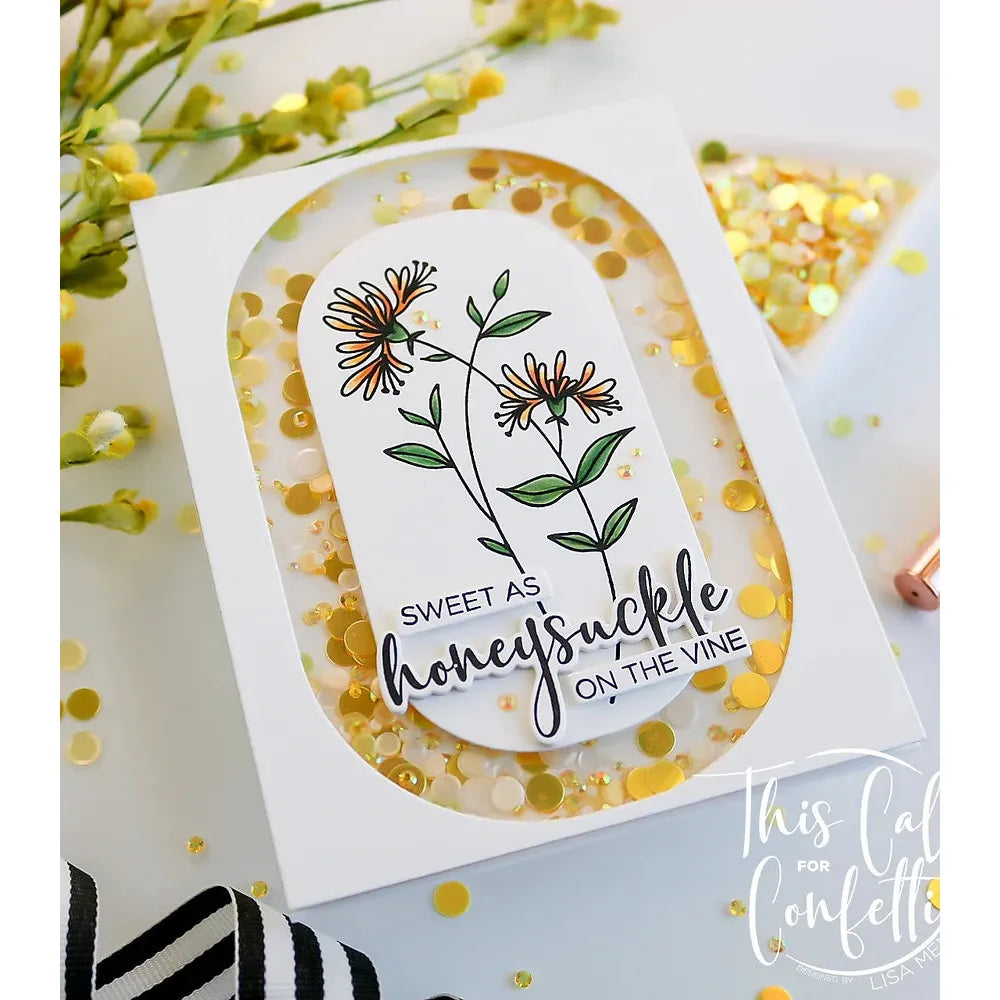 This Calls For Confetti Hello Elongated Frame Dies shaker card