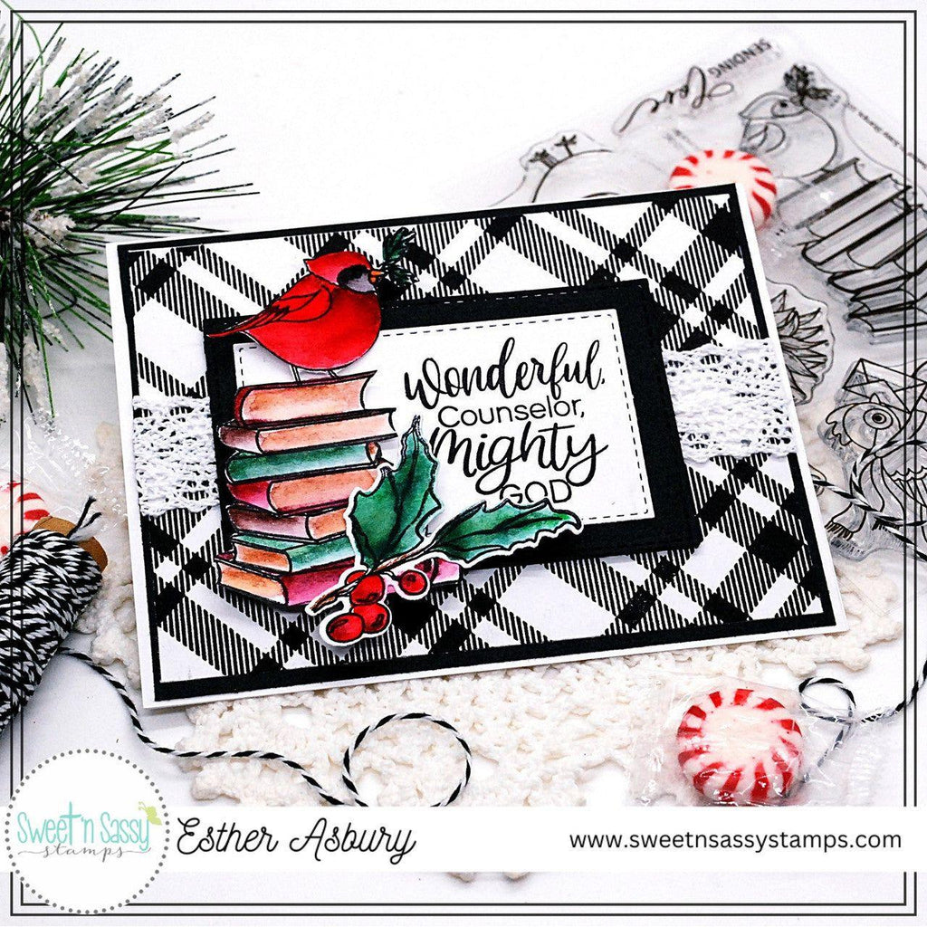 Sweet 'N Sassy Diagonal Plaid Background Clear Stamp sns-23-063 Wonderful Counselor Mighty God Card