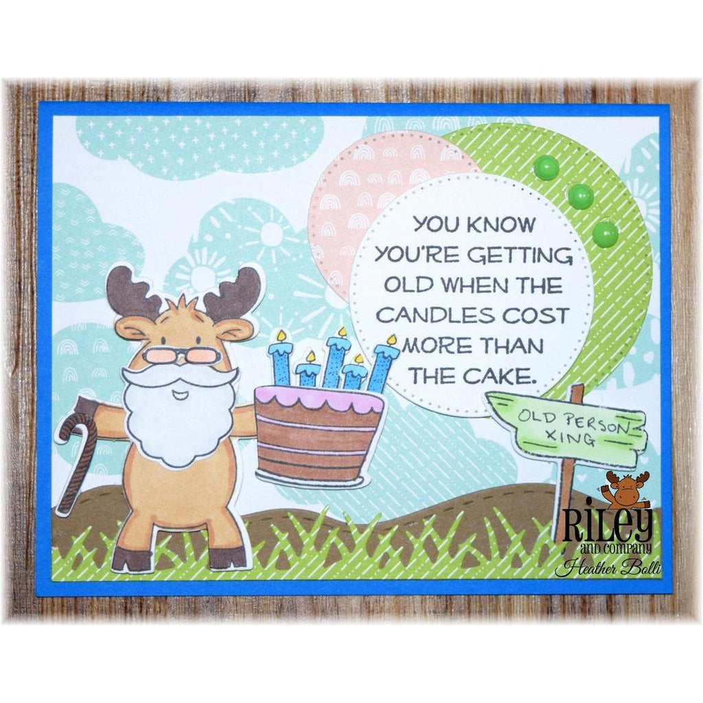 Riley and Company Funny Bones Candles Cost More Than Cake Clear Stamp rwd-1208 getting old