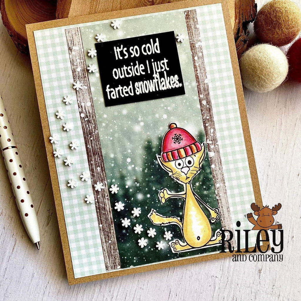 Riley and Company Funny Bones It's So Cold Outside Clear Stamp rwd-1210 cat in a hat