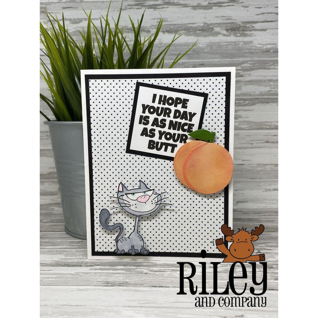 Riley And Company Funny Bones I Hope Your Day Is Nice Clear Stamp rwd-1269 peach