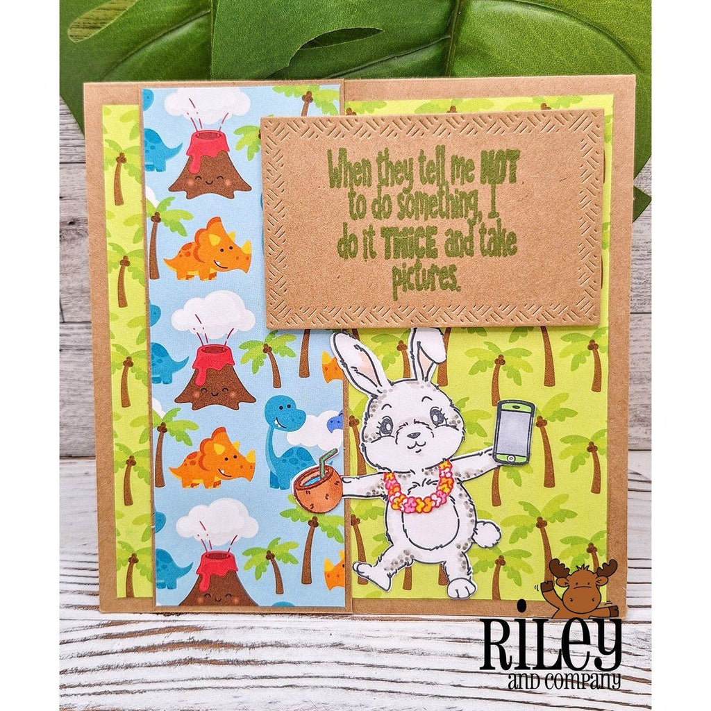 Riley And Company Funny Bones Do It Twice Clear Stamp rwd-1283 funny bunny