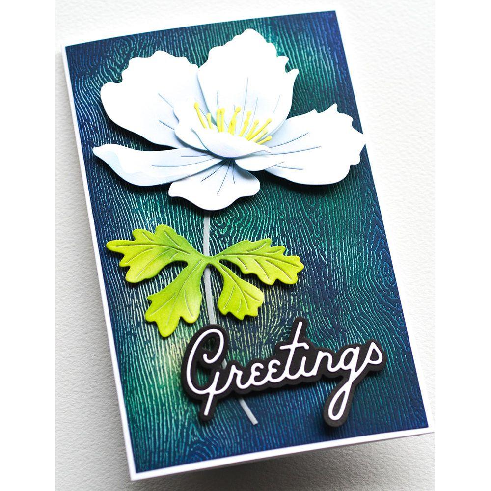 Memory Box Graceful Anemone Dies 94764 greetings