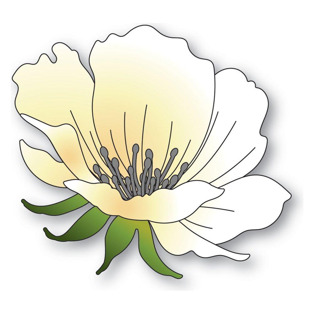 Memory Box Anemone Bloom Dies 94766