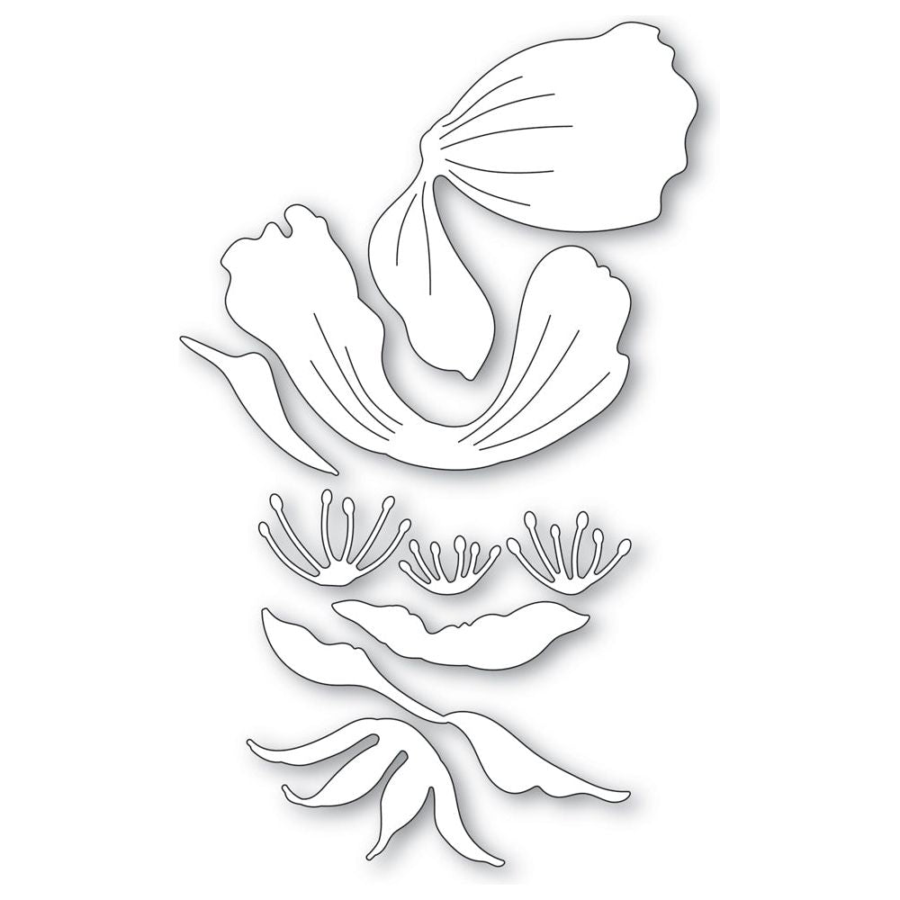 Memory Box Anemone Bloom Dies 94766 lineart