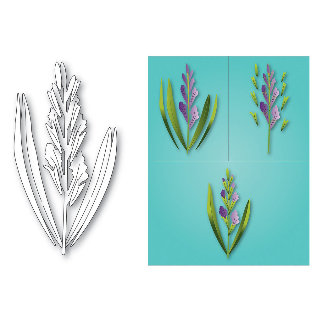 Memory Box Budding Gladiola Stem Dies 94792 pieces