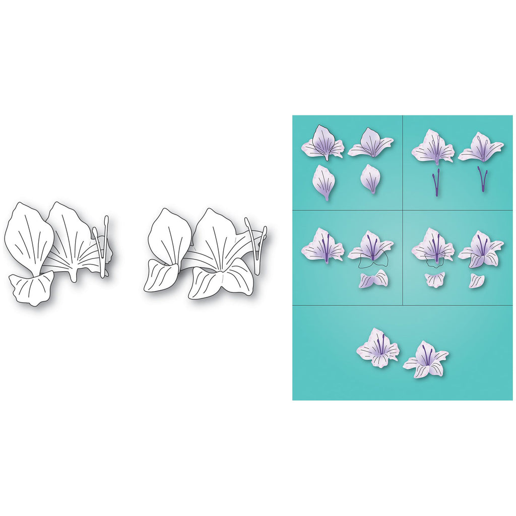 Memory Box Gladiola Floral Duo Dies 94793 pieces