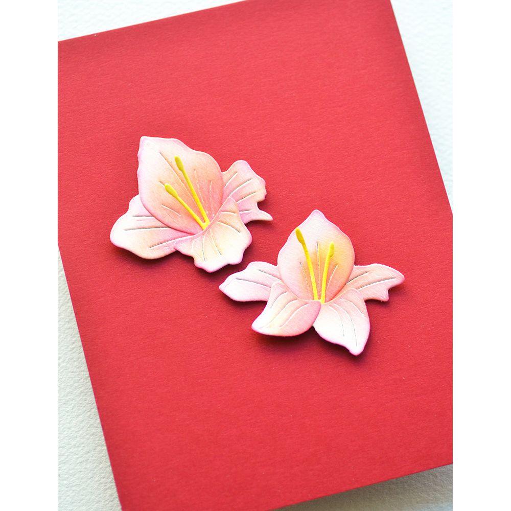 Memory Box Gladiola Floral Duo Dies 94793 red