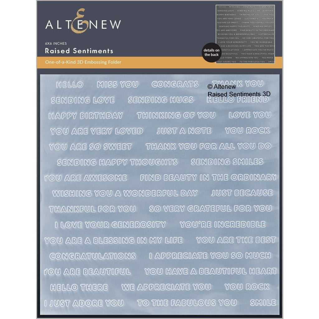 Altenew Raised Sentiments 3D Embossing Folder alt10242