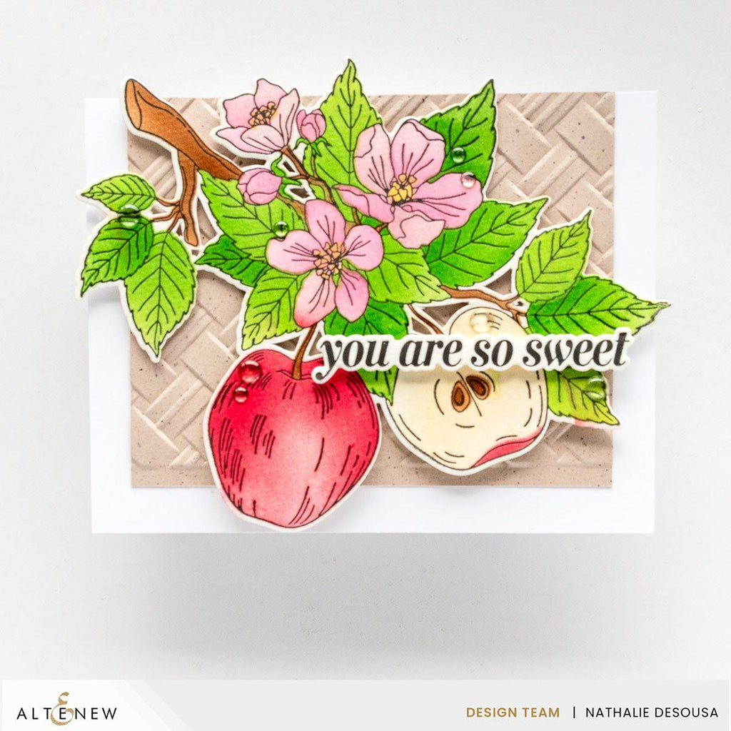 Altenew Blossoming Apple Press Plates, Layering Stencils, and Die Set apples