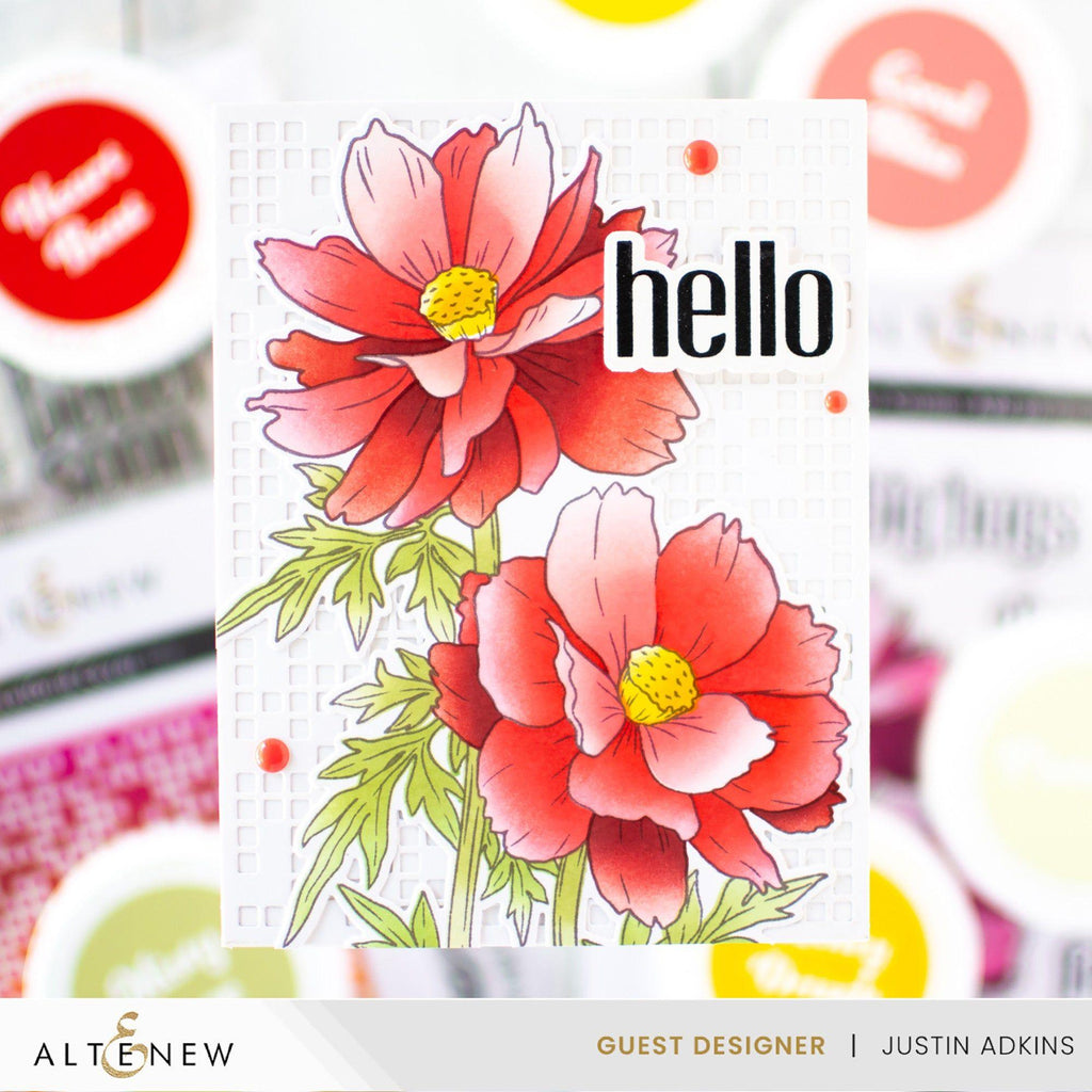 Altenew Build-A-Garden Sulfur Cosmos Clear Stamp, Stencil and Brush Set alt10216bn hello