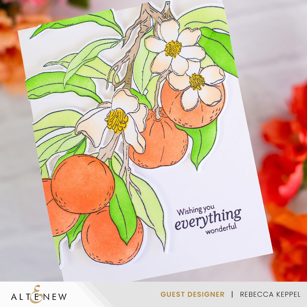 Altenew Craft Your Life Project Kit Tangerine Grove alt10224bn wishing you