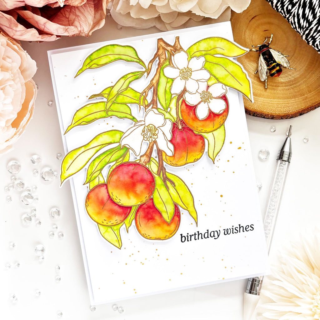 Altenew Craft Your Life Project Kit Tangerine Grove alt10224bn birthday wishes