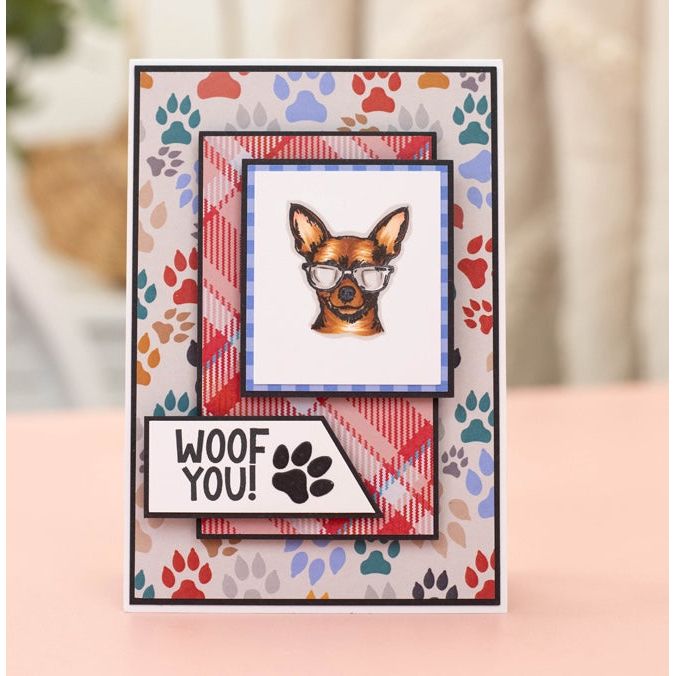 Crafter's Companion Top Dog Clear Stamps cc-pr-ca-st-tpdg woof you card