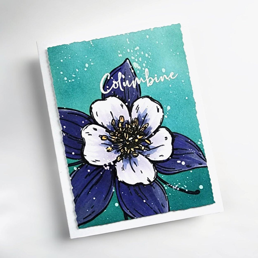 Colorado Craft Company Big and Bold Columbine Wishing Clear Stamps bb864 splatter