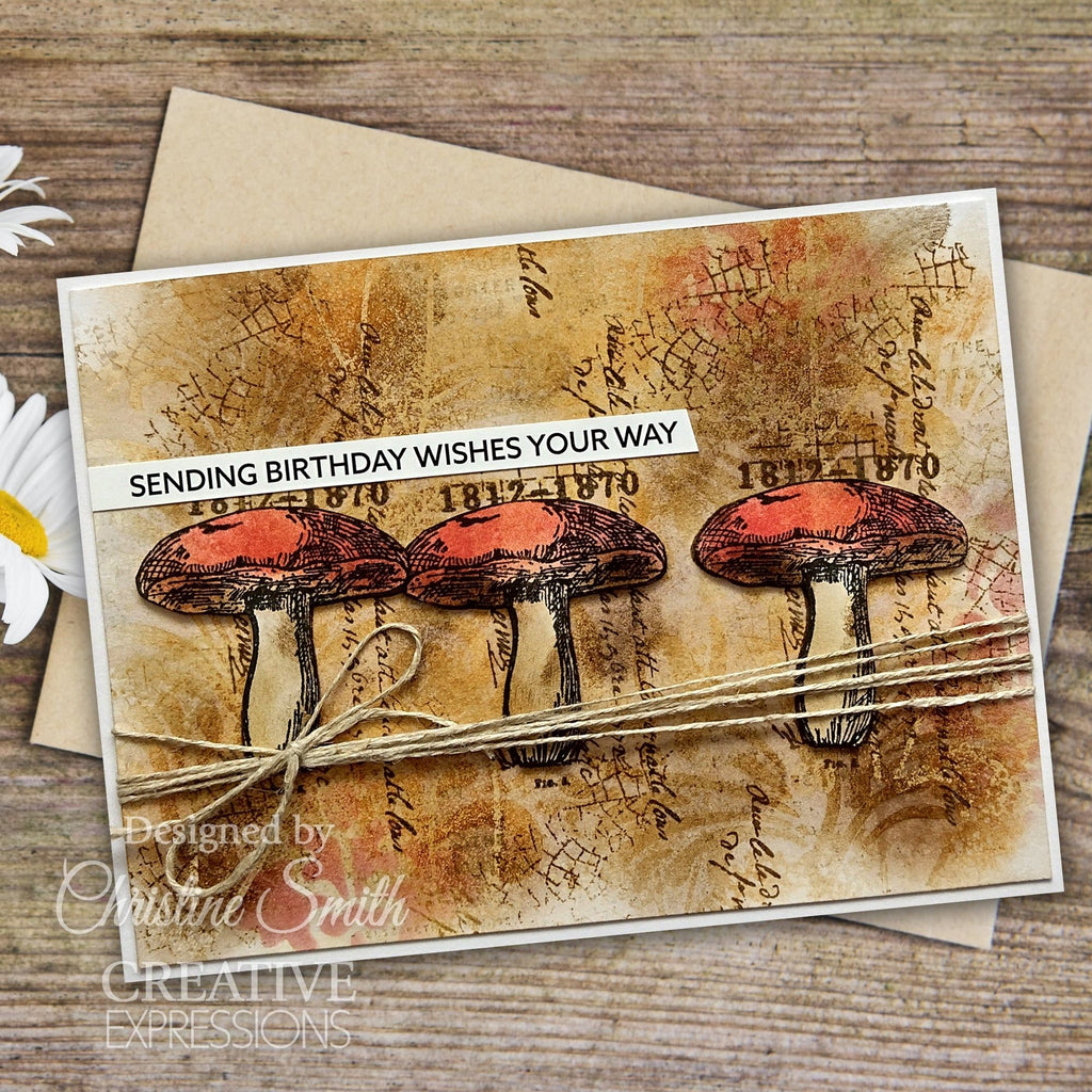 Creative Expressions Sam Poole Snippets of Nature Clear Stamps cec1029 shroom card