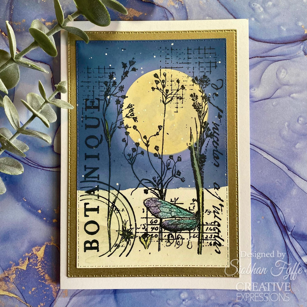 Creative Expressions Botanical Collage Clear Stamp cec1030 nature moon card