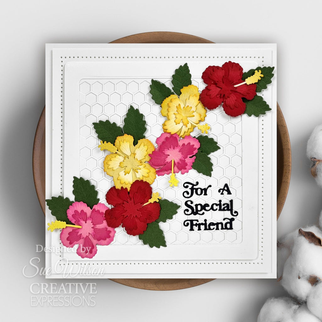 Creative Expressions Layered Flowers Hibiscus Dies ced25059 special friend