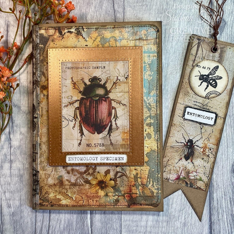 Tim Holtz 2024 Kraft Paper Pad Entomology Bundle