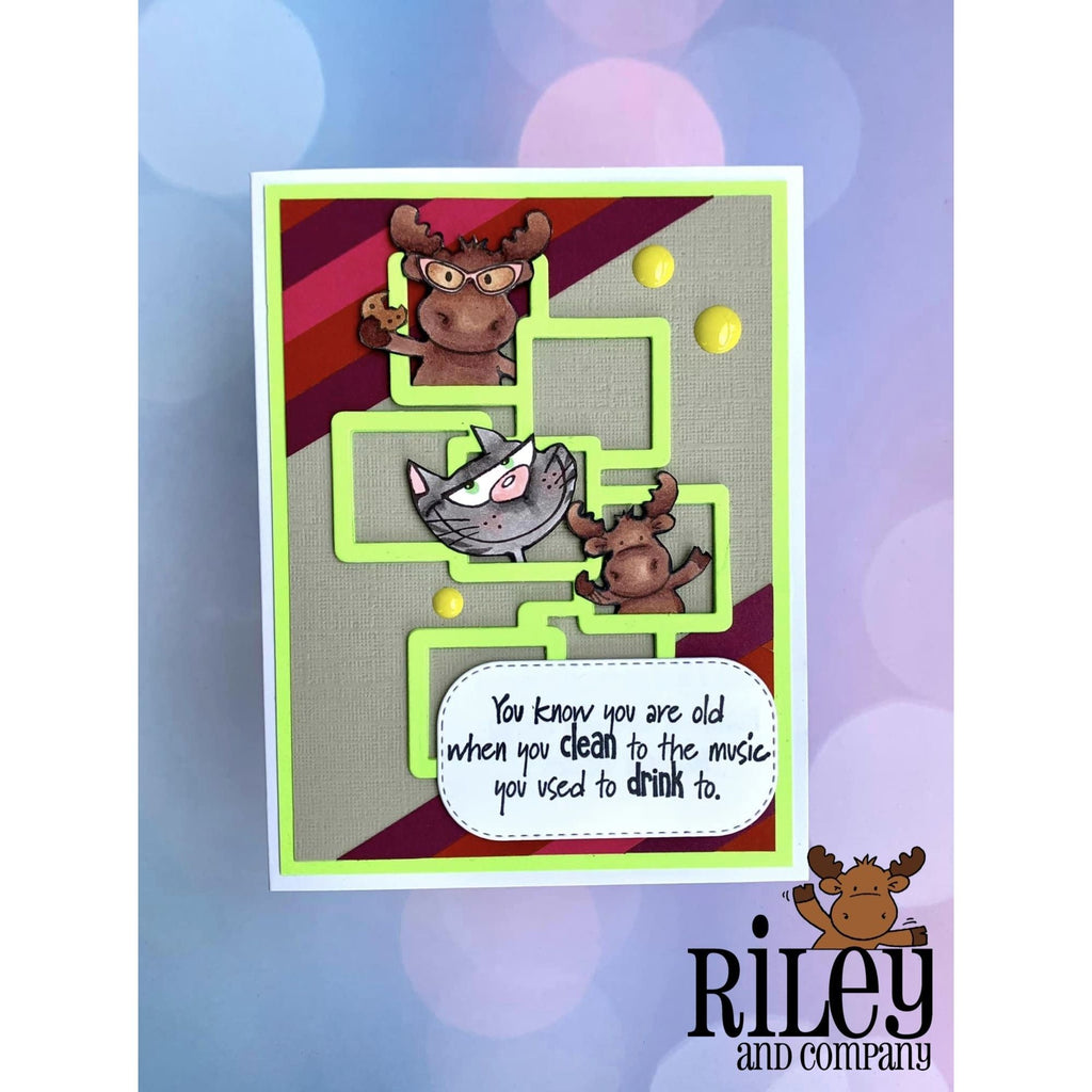 Riley And Company Funny Bones When You Clean Cling Rubber Stamp rwd-1153 Squares