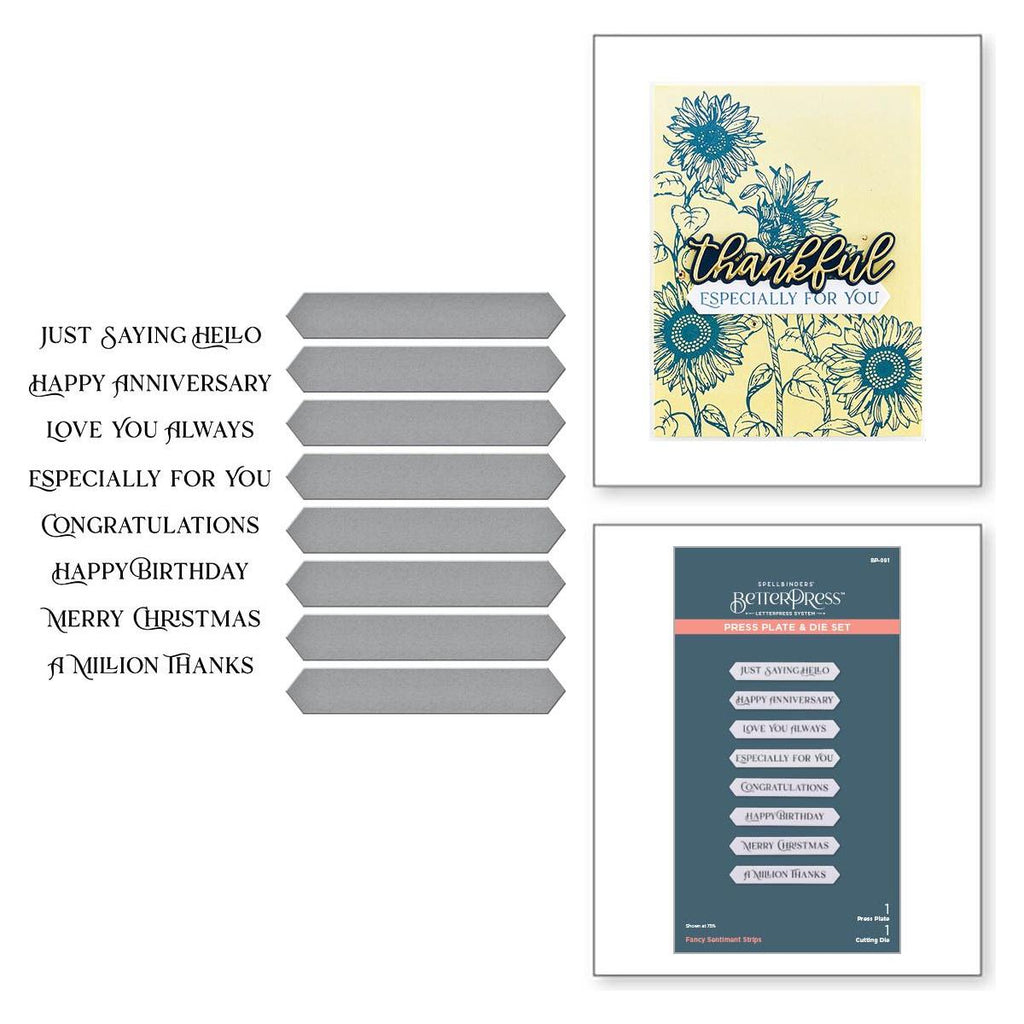 bp-091 Spellbinders Fancy Sentiment Strips Press Plate and Etched Die Set product image