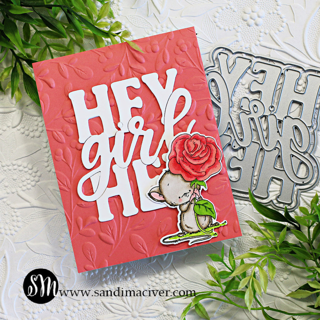 Simon Says Stamp Hey Girl Wafer Dies sssd112824 Dear Friend Hey Girl Card | color-code:ALT06