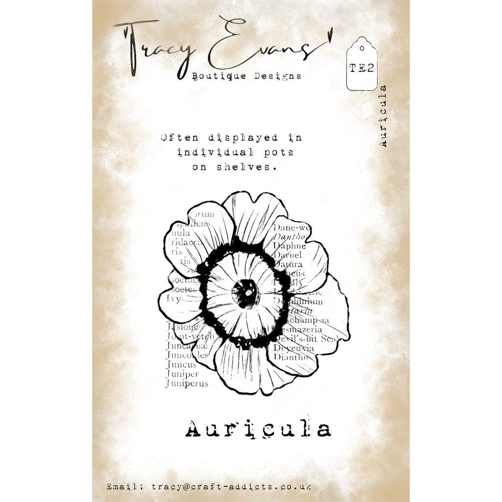 Tracy Evans Boutique Designs Auricula A7 Clear Stamps te002