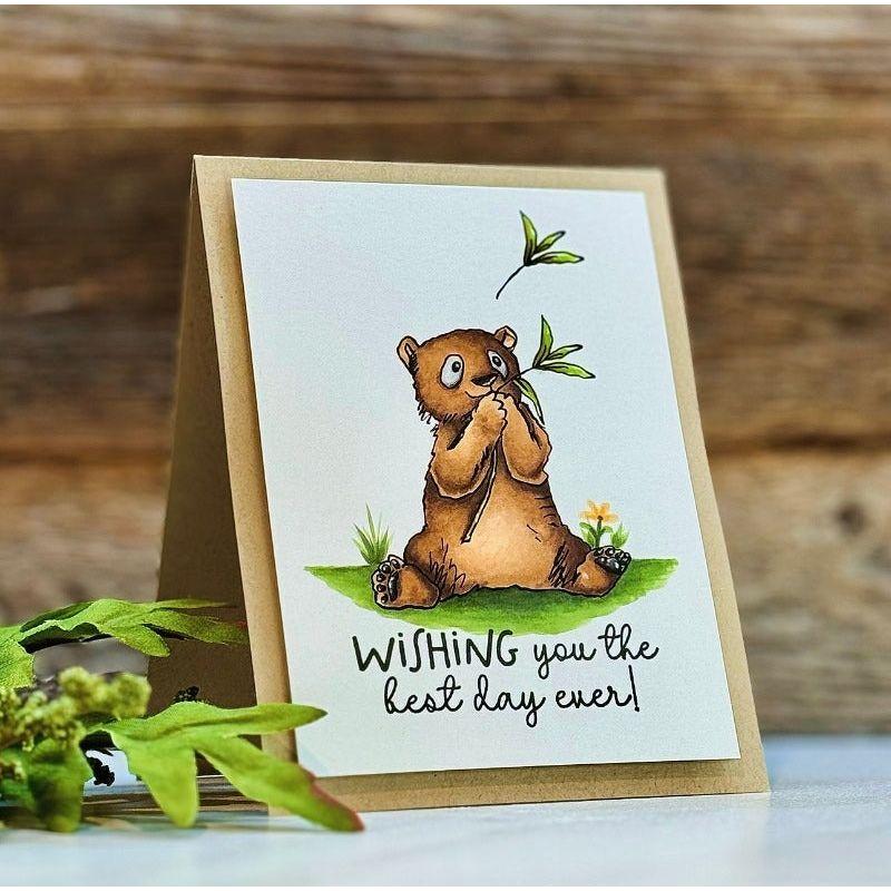 Colorado Craft Company Anita Jeram Bear Hugs Clear Stamps aj948 wishing you the best