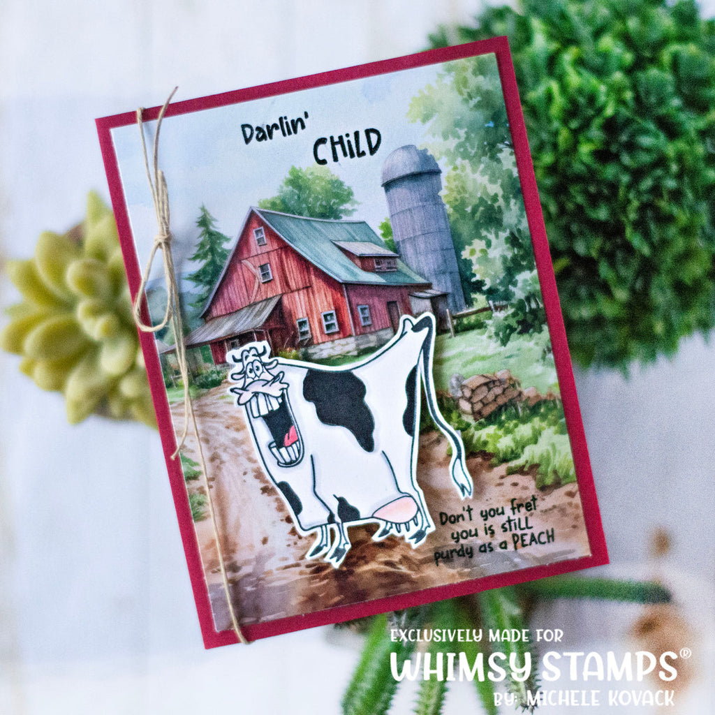 Whimsy Stamps Southern Sugar Outline Dies wsd307a barn