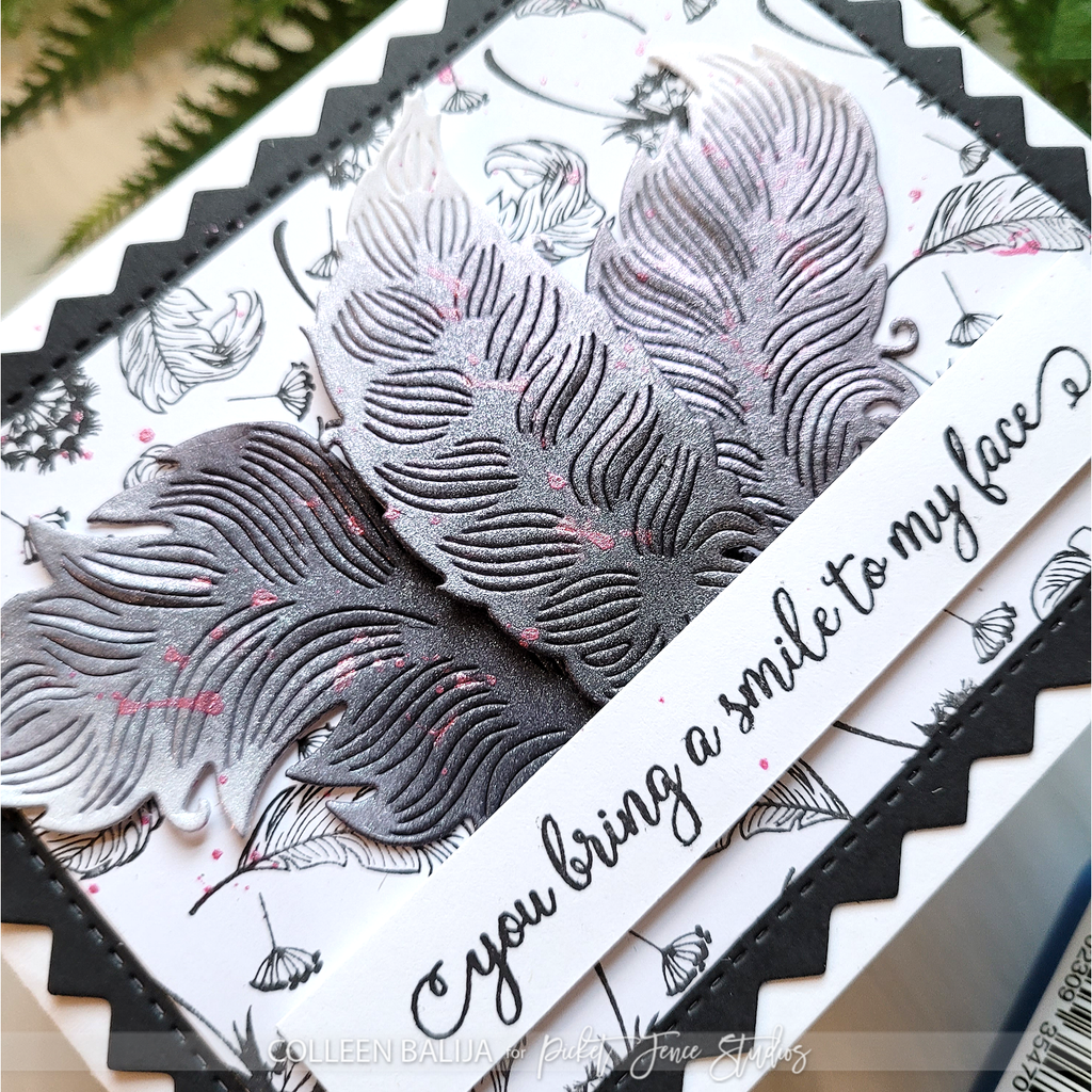 Picket Fence Studios More Fanciful Feathers Dies pfsd-393 bring a smile to my face